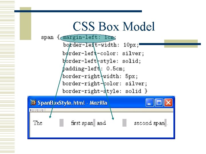 CSS Box Model 