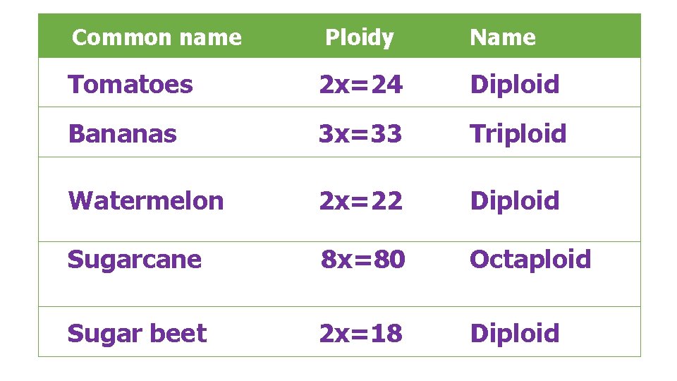 Common name Ploidy Name Tomatoes 2 x=24 Diploid Bananas 3 x=33 Triploid Watermelon 2