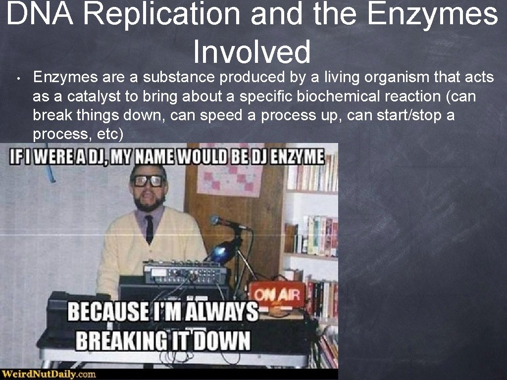 DNA Replication and the Enzymes Involved • Enzymes are a substance produced by a