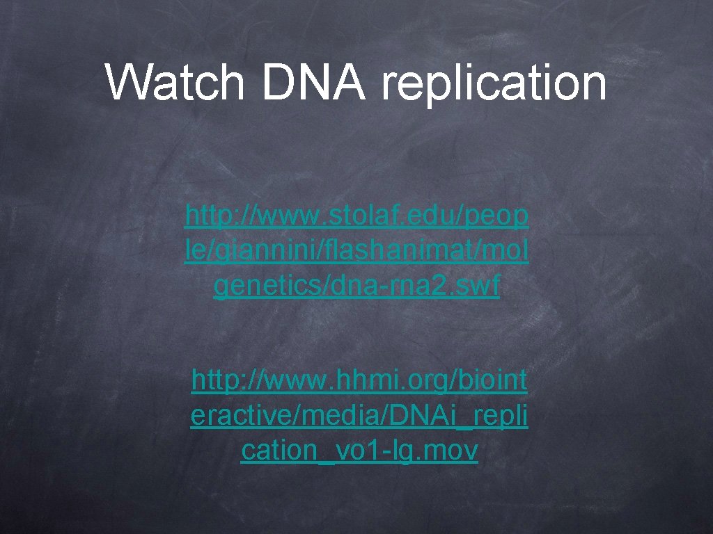 Watch DNA replication http: //www. stolaf. edu/peop le/giannini/flashanimat/mol genetics/dna-rna 2. swf http: //www. hhmi.