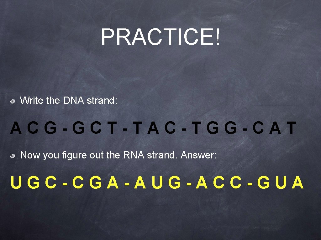PRACTICE! Write the DNA strand: ACG-GCT-TAC-TGG-CAT Now you figure out the RNA strand. Answer:
