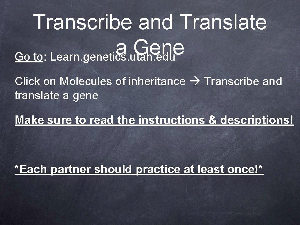 Transcribe and Translate a Gene Go to: Learn. genetics. utah. edu Click on Molecules