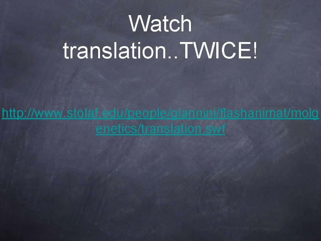 Watch translation. . TWICE! http: //www. stolaf. edu/people/giannini/flashanimat/molg enetics/translation. swf 