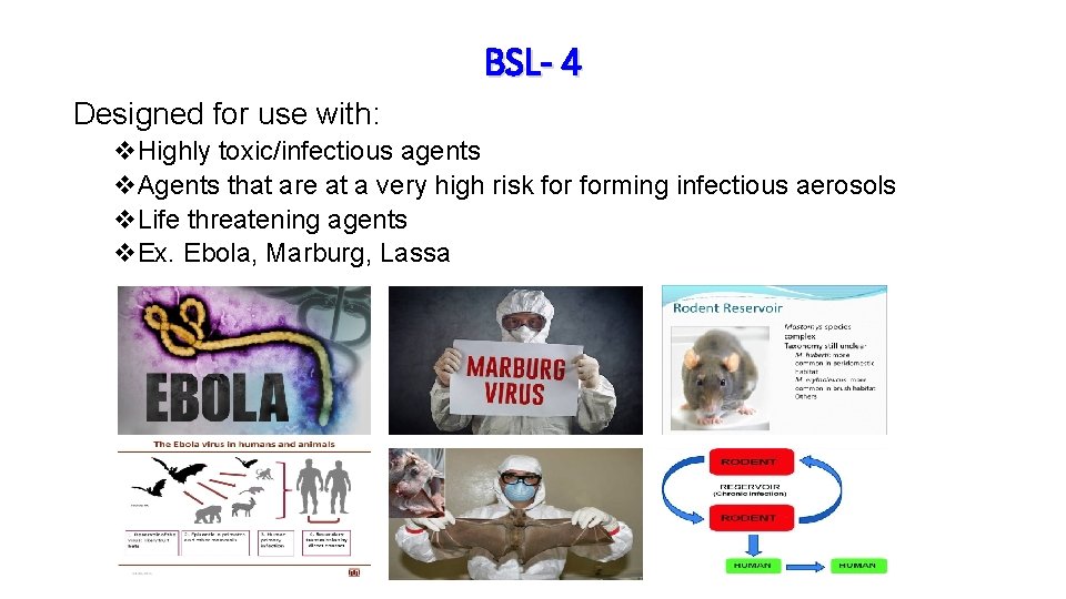 BSL- 4 Designed for use with: v. Highly toxic/infectious agents v. Agents that are