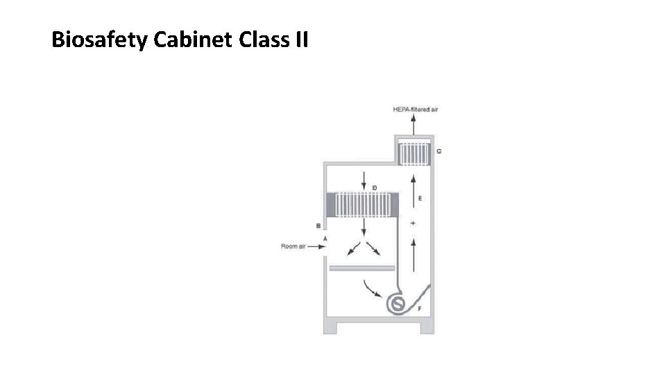 Biosafety Cabinet Class II 