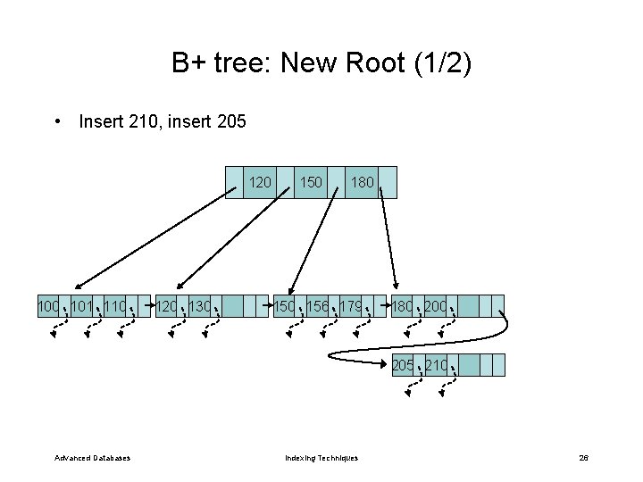 B+ tree: New Root (1/2) • Insert 210, insert 205 120 101 110 120