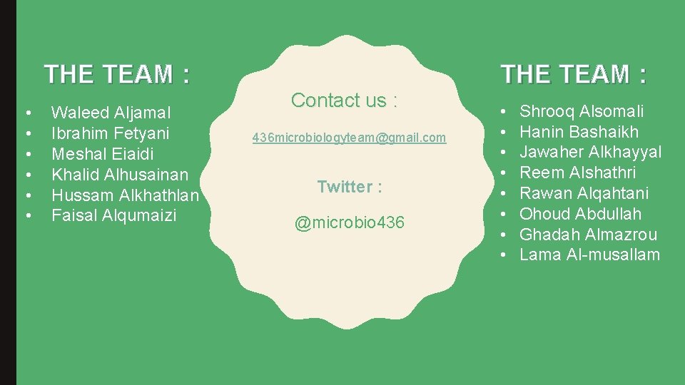 THE TEAM : • • • Waleed Aljamal Ibrahim Fetyani Meshal Eiaidi Khalid Alhusainan