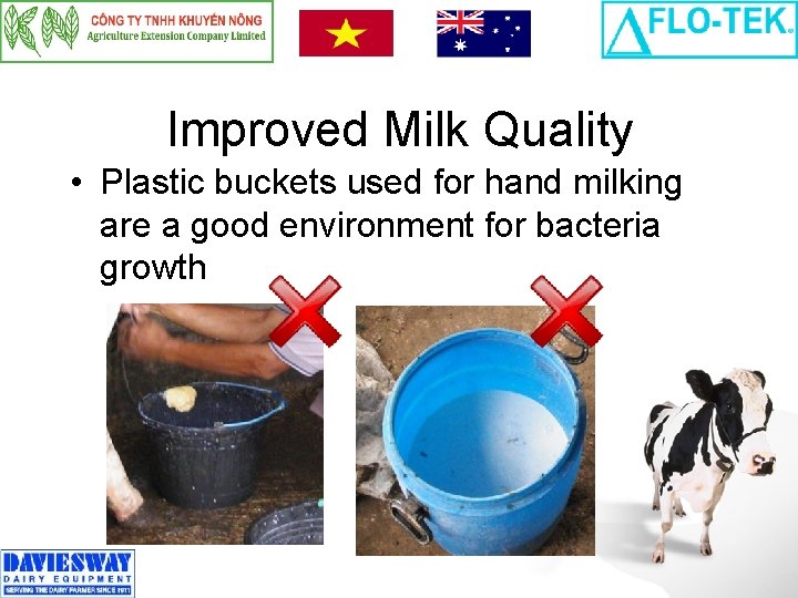Improved Milk Quality • Plastic buckets used for hand milking are a good environment