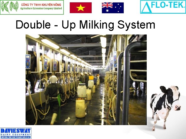 Double - Up Milking System 