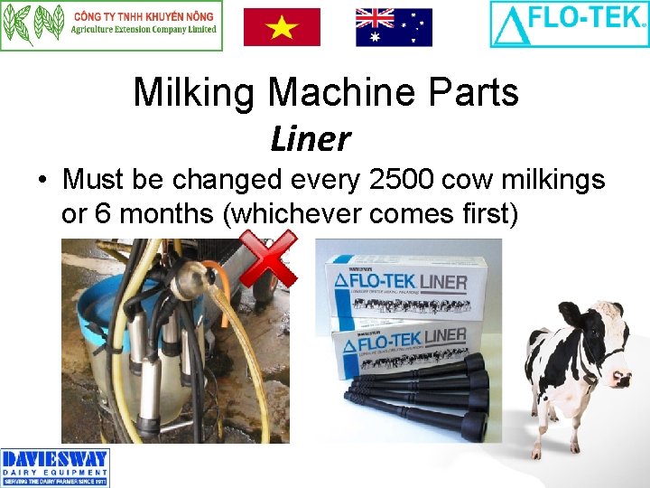 Milking Machine Parts Liner • Must be changed every 2500 cow milkings or 6