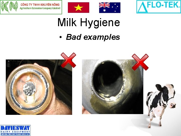 Milk Hygiene • Bad examples 