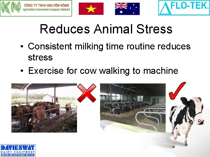 Reduces Animal Stress • Consistent milking time routine reduces stress • Exercise for cow