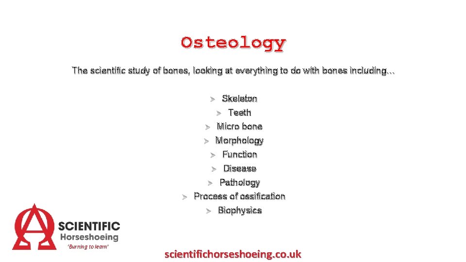 Osteology The scientific study of bones, looking at everything to do with bones including…