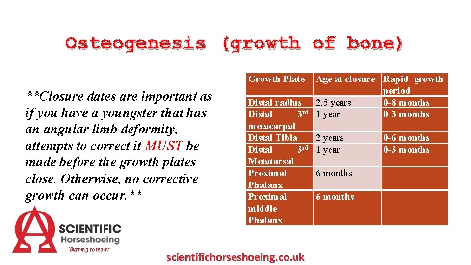 Osteogenesis (growth of bone) Growth Plate **Closure dates are important as if you have
