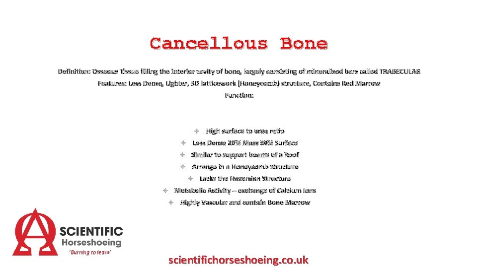 Cancellous Bone Definition: Osseous Tissue filling the interior cavity of bone, largely consisting of