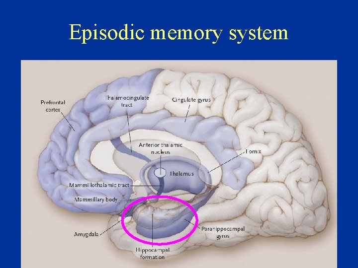 Episodic memory system 