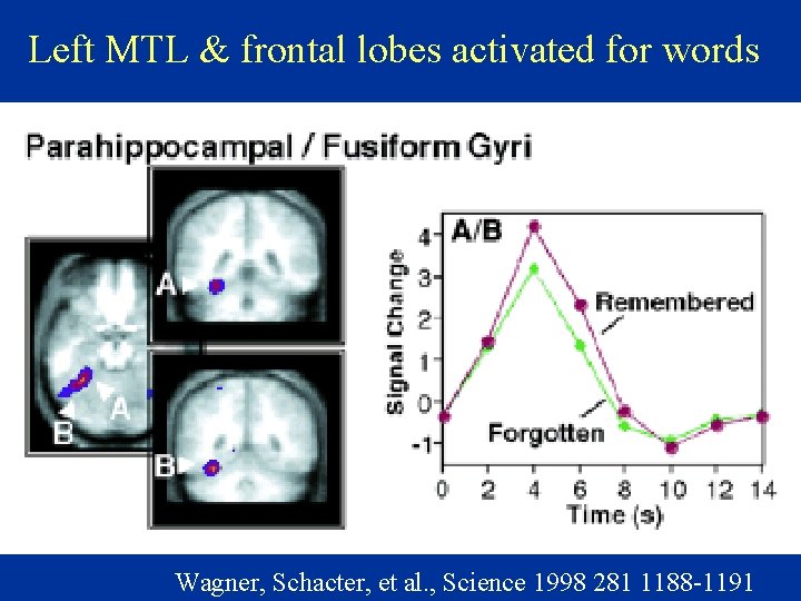Left MTL & frontal lobes activated for words Wagner, Schacter, et al. , Science