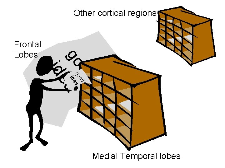Other cortical regions ide od go a od ide go Frontal Lobes a Medial