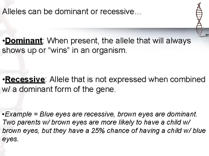 Alleles can be dominant or recessive… • Dominant: When present, the allele that will
