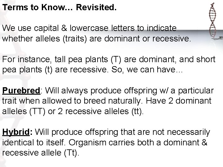 Terms to Know… Revisited. We use capital & lowercase letters to indicate whether alleles