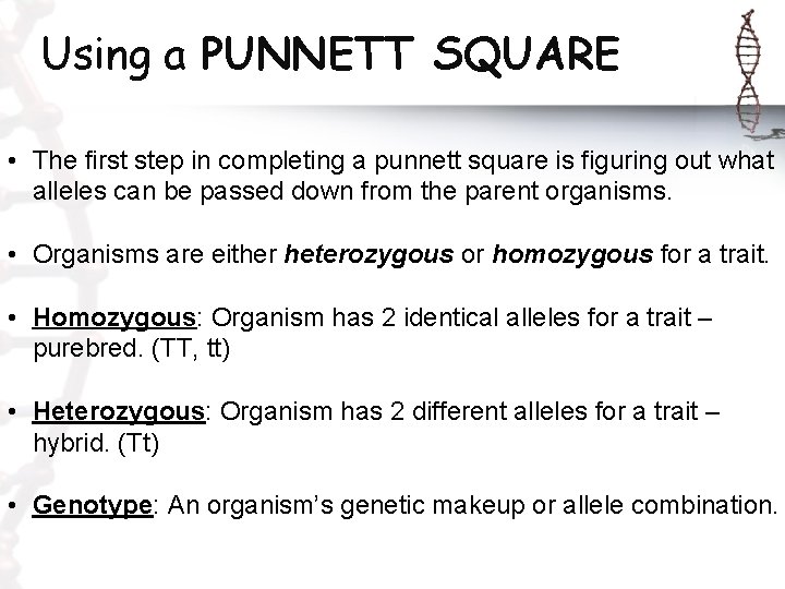 Using a PUNNETT SQUARE • The first step in completing a punnett square is