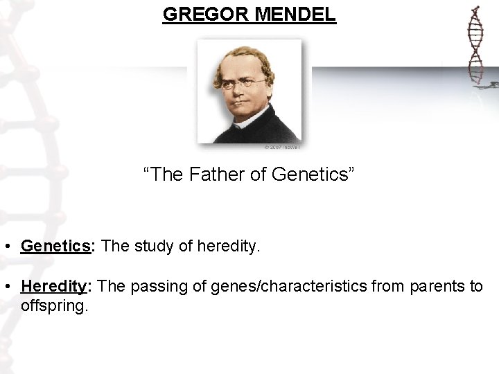 GREGOR MENDEL “The Father of Genetics” • Genetics: The study of heredity. • Heredity: