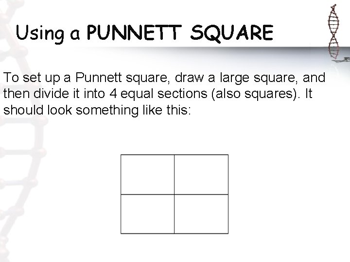 Using a PUNNETT SQUARE To set up a Punnett square, draw a large square,