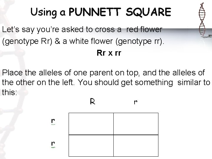 Using a PUNNETT SQUARE Let’s say you’re asked to cross a red flower (genotype