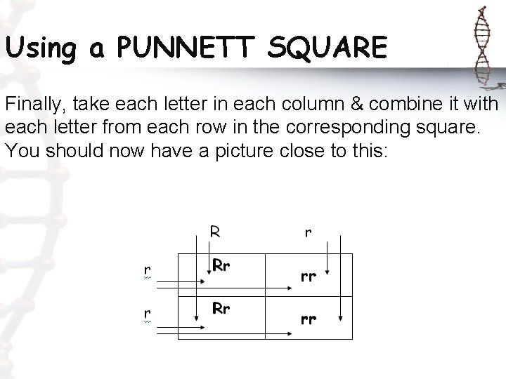 Using a PUNNETT SQUARE Finally, take each letter in each column & combine it