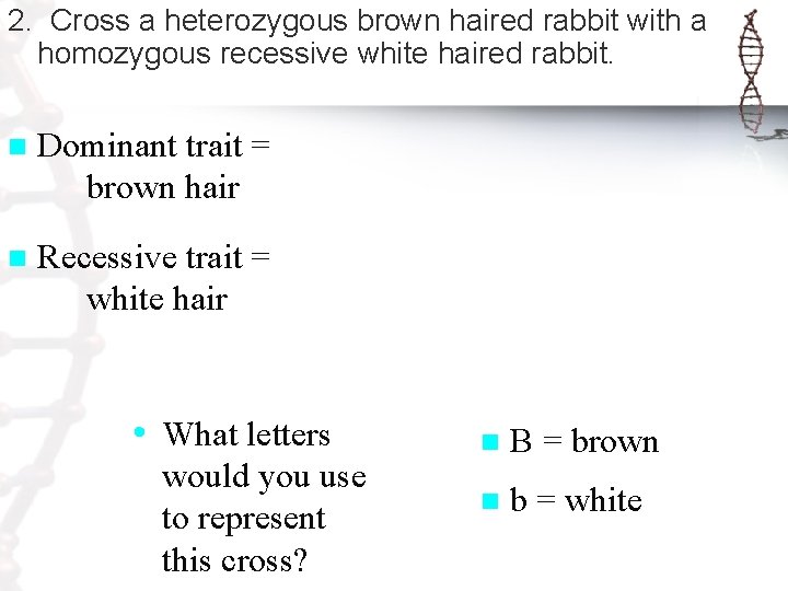 2. Cross a heterozygous brown haired rabbit with a homozygous recessive white haired rabbit.