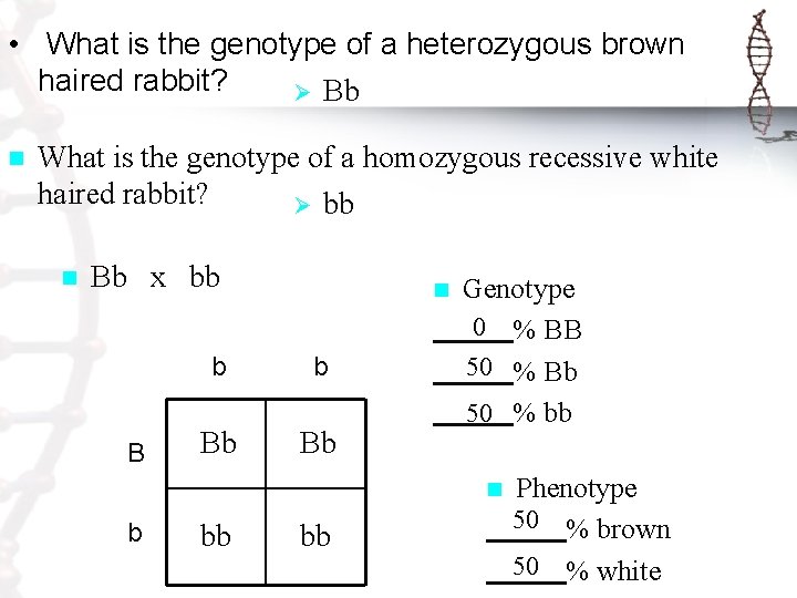  • What is the genotype of a heterozygous brown haired rabbit? Ø Bb
