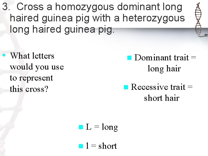 3. Cross a homozygous dominant long haired guinea pig with a heterozygous long haired