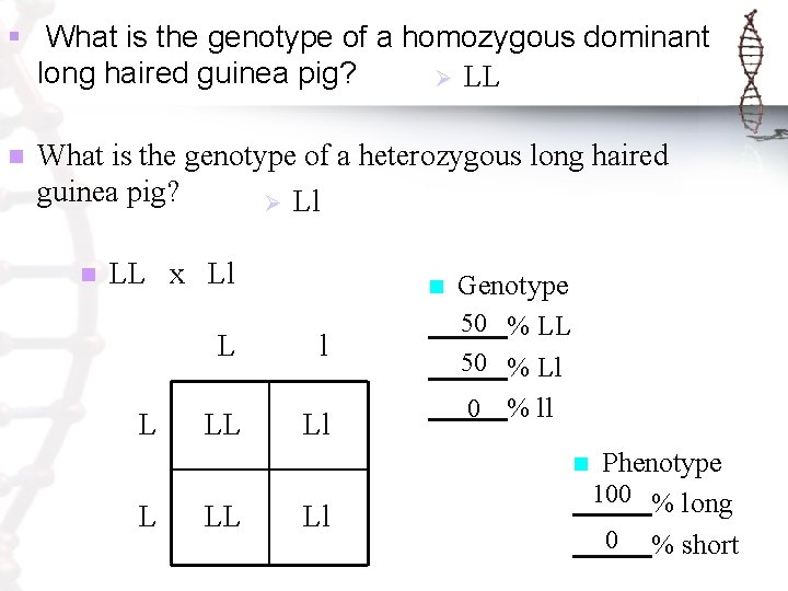 § What is the genotype of a homozygous dominant long haired guinea pig? Ø