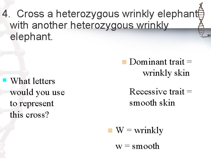 4. Cross a heterozygous wrinkly elephant with another heterozygous wrinkly elephant. n Dominant trait