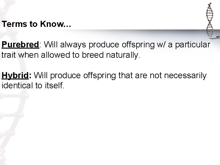 Terms to Know… Purebred: Will always produce offspring w/ a particular trait when allowed