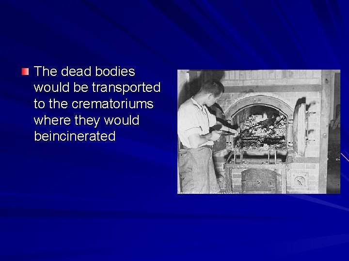 The dead bodies would be transported to the crematoriums where they would beincinerated 