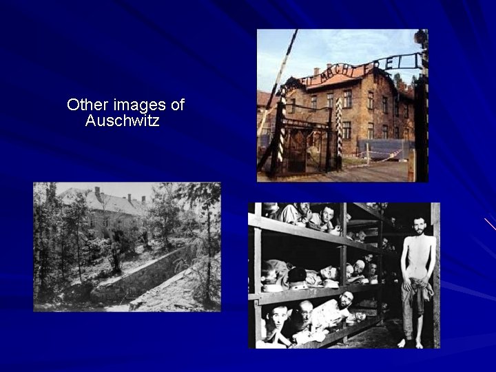 Other images of Auschwitz 