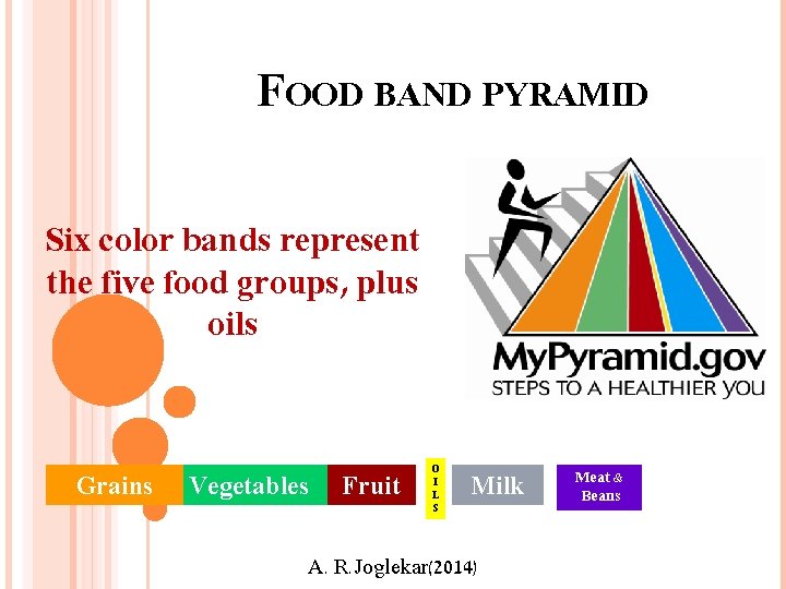FOOD BAND PYRAMID Six color bands represent the five food groups, plus oils Grains