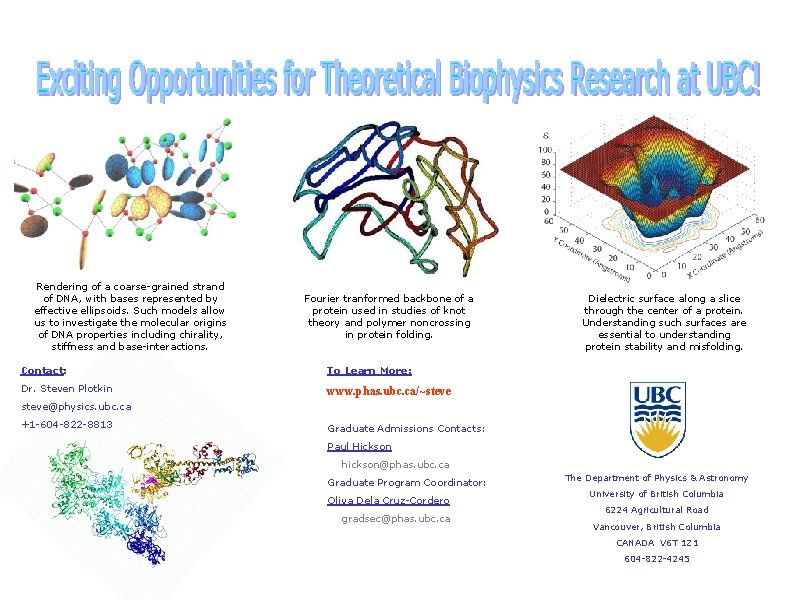 Rendering of a coarse-grained strand of DNA, with bases represented by effective ellipsoids. Such