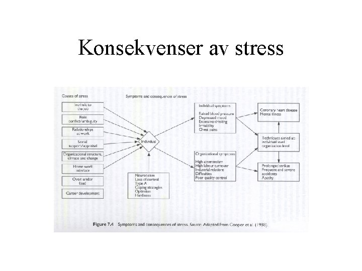 Konsekvenser av stress 