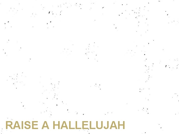 RAISE A HALLELUJAH 