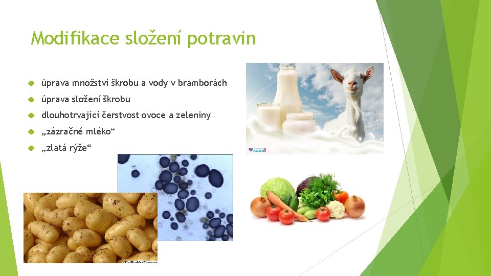 Modifikace složení potravin úprava množství škrobu a vody v bramborách úprava složení škrobu dlouhotrvající