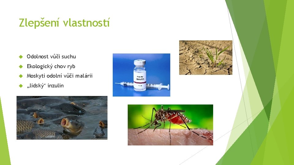 Zlepšení vlastností Odolnost vůči suchu Ekologický chov ryb Moskyti odolní vůči malárii „lidský‘ inzulin