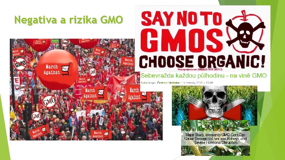 Negativa a rizika GMO 