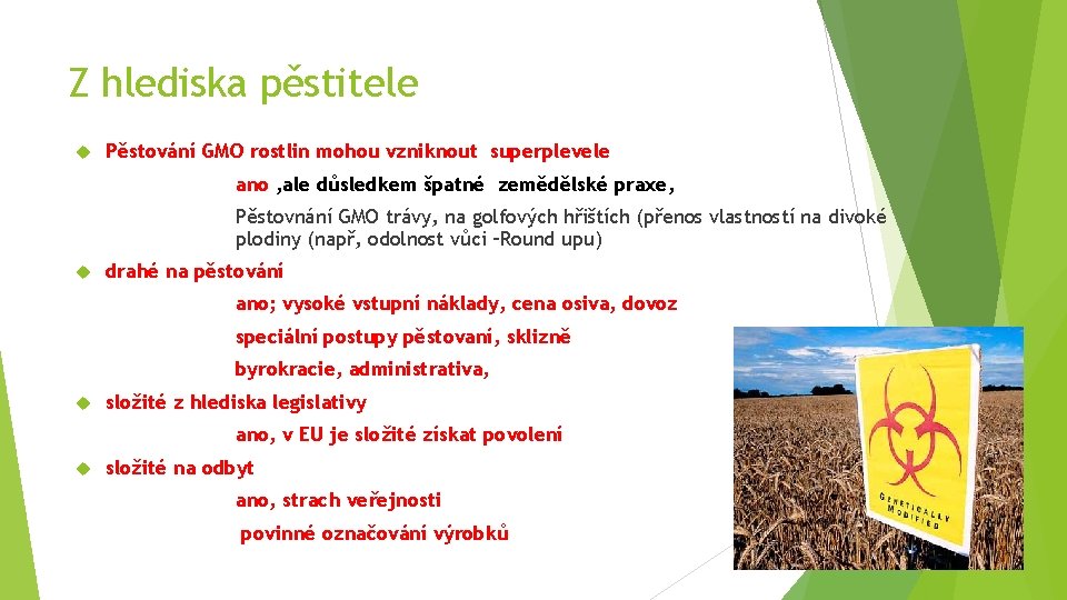 Z hlediska pěstitele Pěstování GMO rostlin mohou vzniknout superplevele ano , ale důsledkem špatné