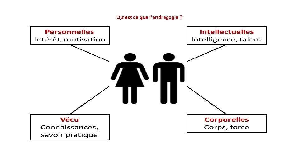 Qu’est ce que l’andragogie ? 