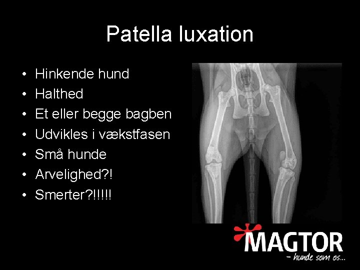 Patella luxation • • Hinkende hund Halthed Et eller begge bagben Udvikles i vækstfasen