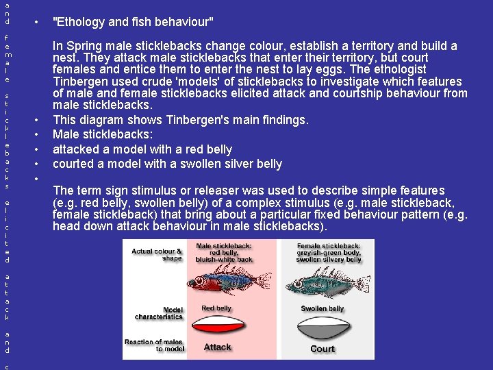 a n d • f e m a l e s t i c