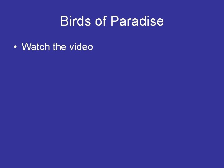 Birds of Paradise • Watch the video 
