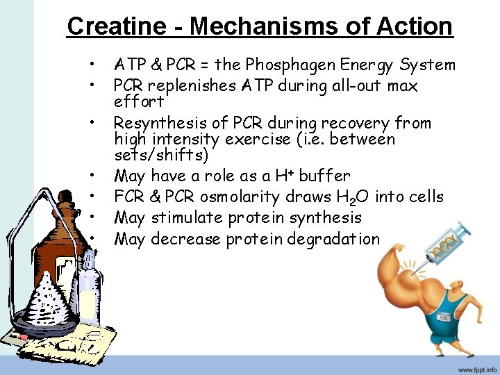 Creatine - Mechanisms of Action • • ATP & PCR = the Phosphagen Energy